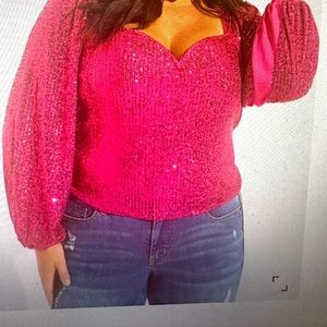 Sequin Blouse Brand New